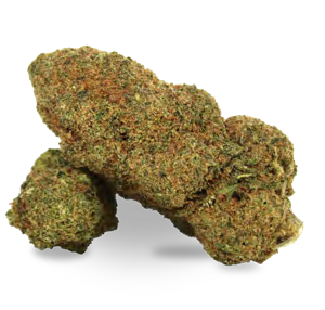 Buy MINT KUSH – Cannabis Buds