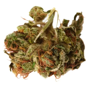 Afghan Bullrider Weed Strain
