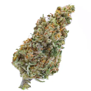 Aloha Sativa Weed Strain