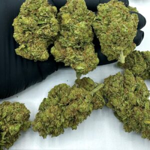Buy CBD Hemp Flowers AMNESIA HAZE