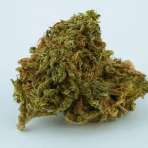 Black Domina Weed Strain