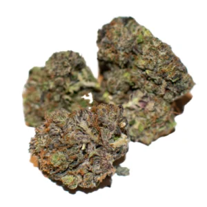 grand Hindu strain