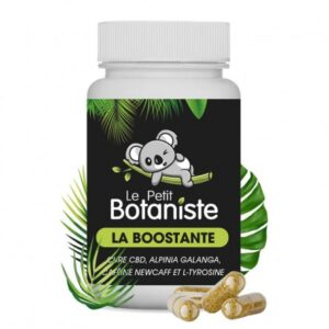 Buy CBD Boost Capsule in Europe