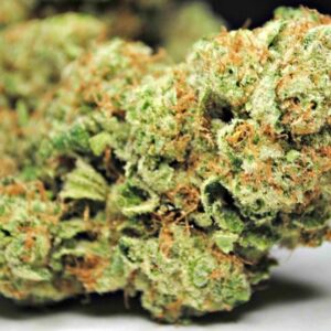 Buy God Bud Hybrid weed strain