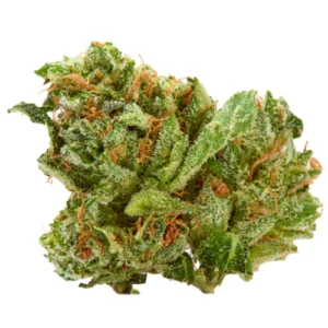 High Octane OG Weed Strain