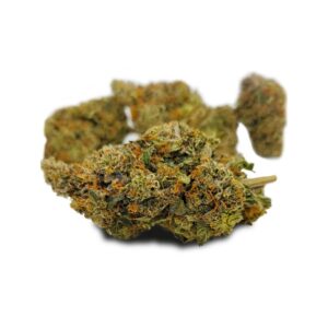 Jungle cake Hybrid weed strain
