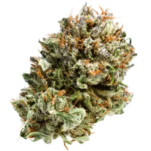 Kosher Kush Weed Strain