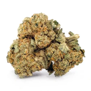 Kush Berry Weed Strain