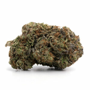 Northern Lights weed strain