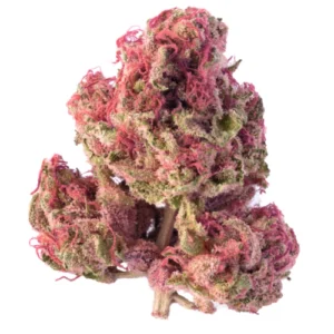 Orange Sherbet Hybrid weed strain 28g